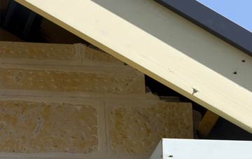 soffit repair Dines Green